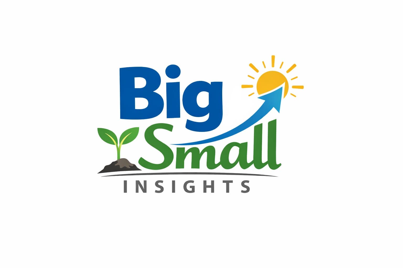 Big Small Insights Logo